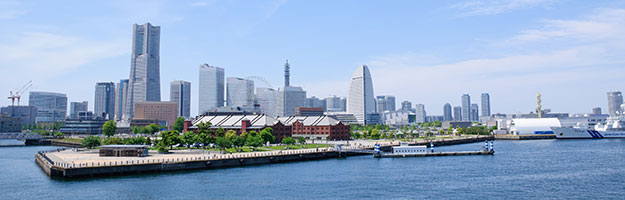 沿革・活動記録